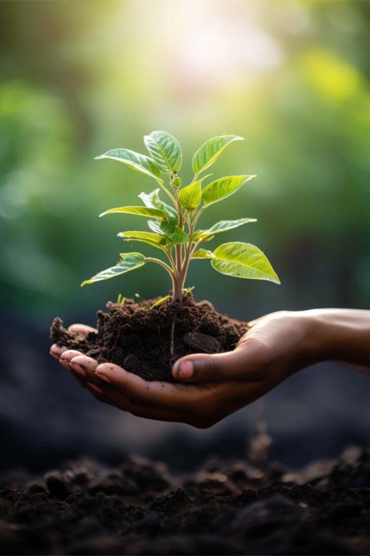 Sustainability